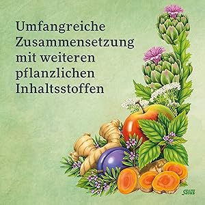 Salus Darm-Care Curcuma Bioaktiv Tonikum pflanzliche Inhaltstoffe