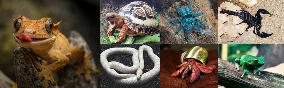 Large manufacture image 2