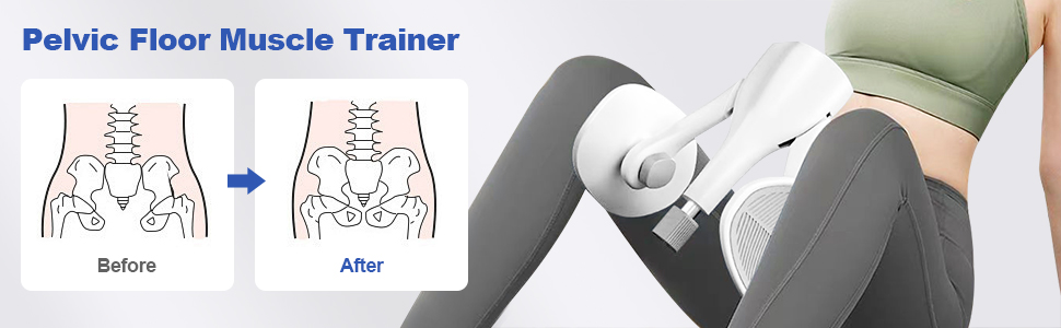 pelvic floor muscle