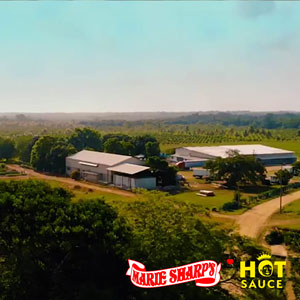 Small manufacture image 2