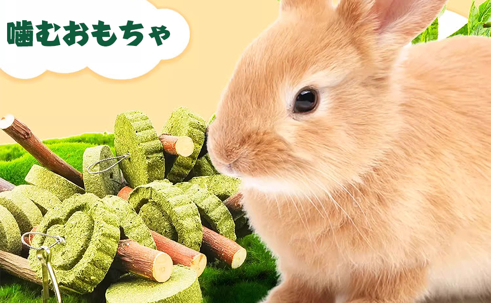 Amazon.co.jp: YBGGJO ハムスター 歯磨き 牧草塊とりんご枝