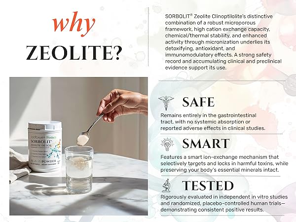 Amazon.com: TODICAMP Sorbolit Zeolite Detox Powder - 1 lb