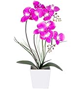 HOMESEASONS Orchid Lamp-LED Lighted Orchid Arrangements,Pre Lit Artificial Orchid,Light Up Flower...