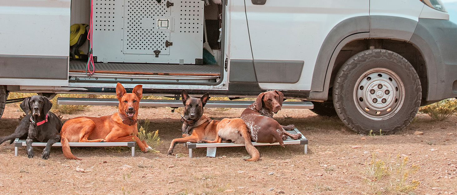 medium_dog-all_terrain-fxw_titannest_padded_dog_bed_gray_36inch-strong_support-广告-A+网页端