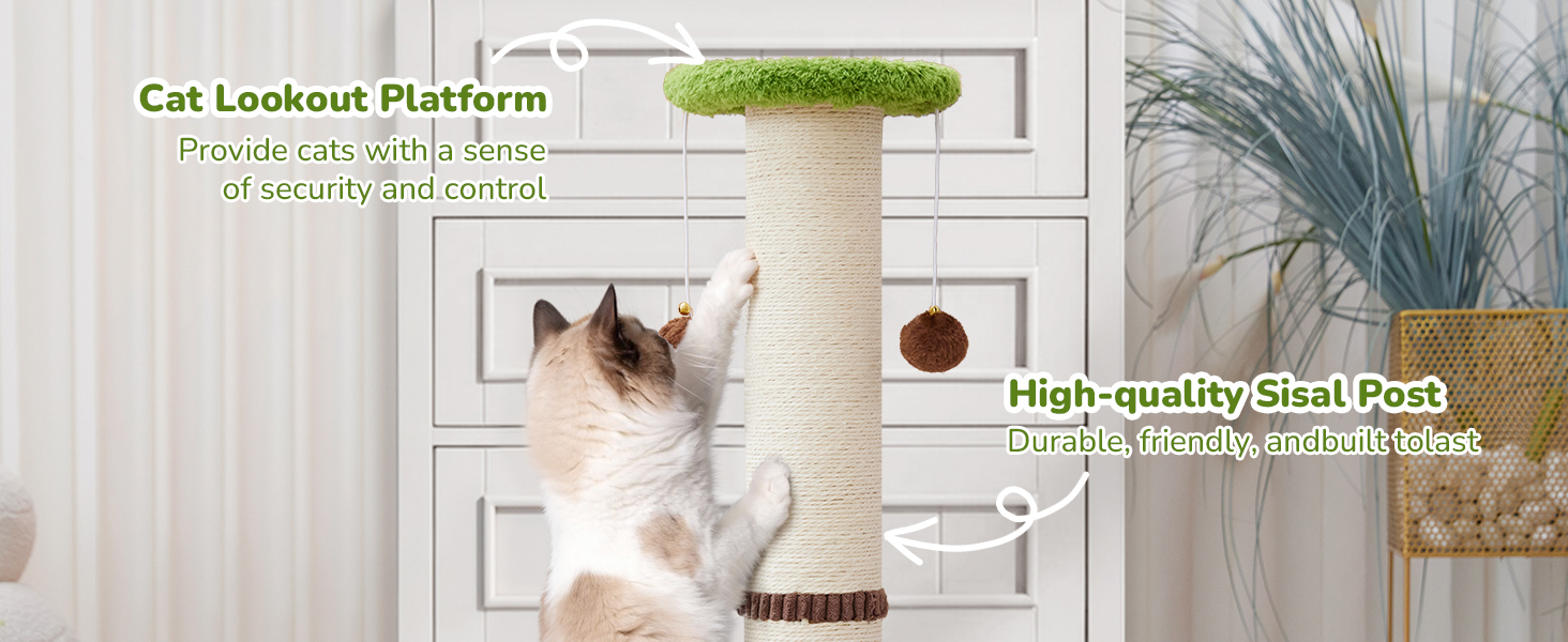 Scratcher Posts for Adults Cats