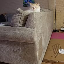 Cat Scratch Deterrent