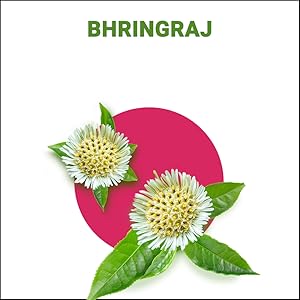 Bhringraj
