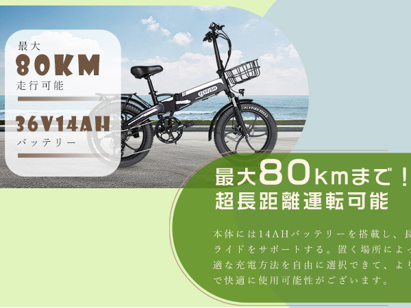 Amazon | 2025年モデル【型式認定獲得】FLYFISH 電動アシスト