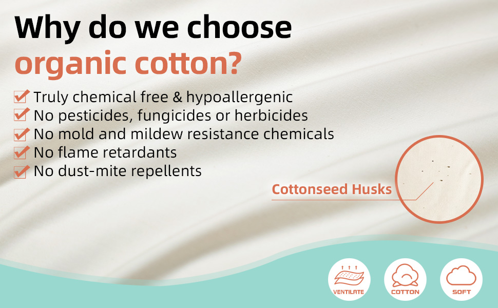 NutriBuck® Buckwheat Hulls Pillow Standard Size 15" x 25" inch