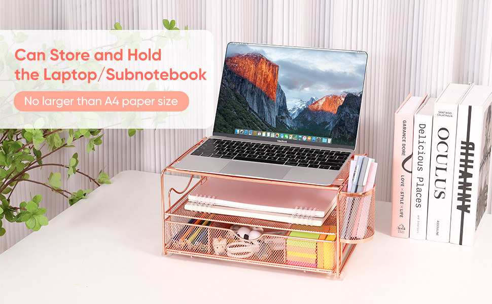 Desktop Tray Organizer