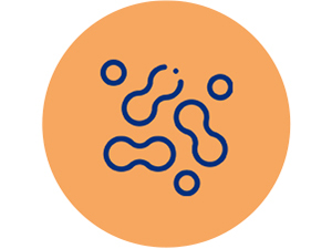 NewRhythm Men's Probiotics contains pasteurized Akkermansia muciniphila