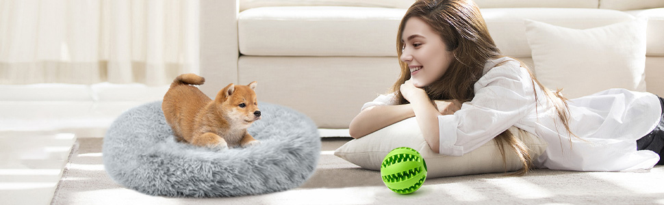 the new puppy dog bed cushion pet bed cushion pet bed cushion pet bed cushion