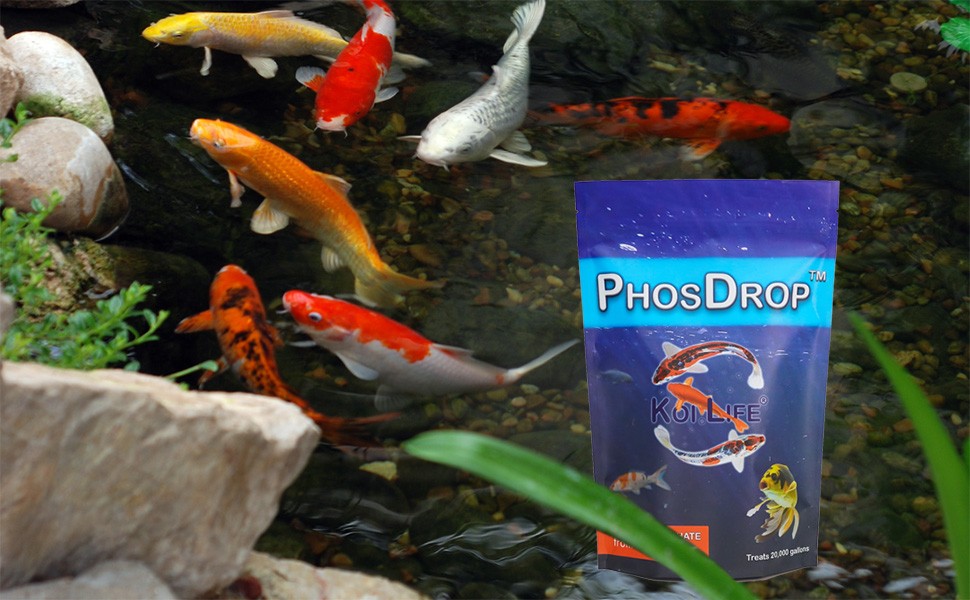 PhosDrop Phosphate Remover Treats 20,000 gallons Pond