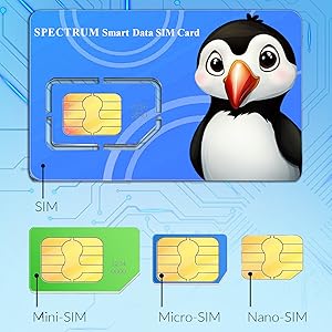 SIM card pre-installed