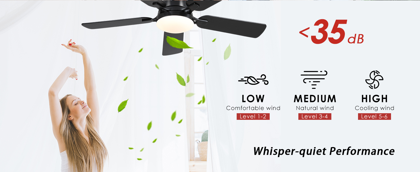 Ceiling Fans with Lights