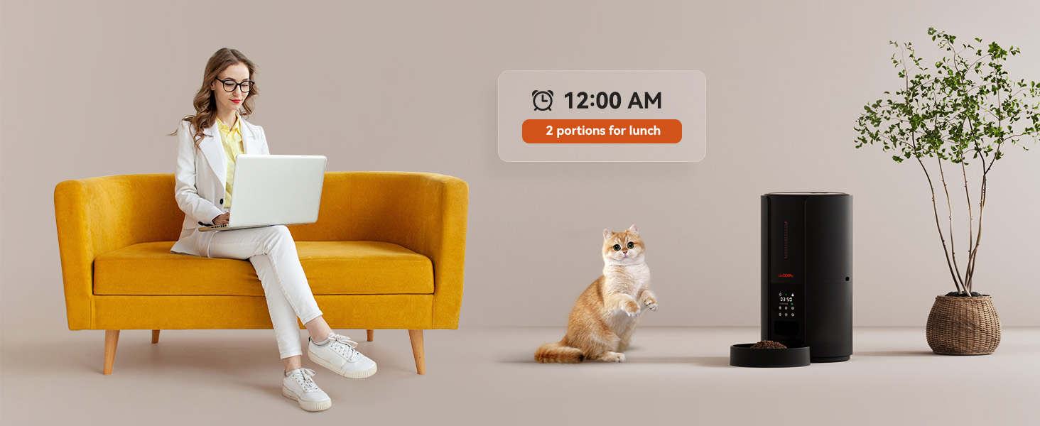 automatic dog feeder
