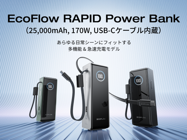 新品)EcoFlow モバイルバッテリー 25000mAh PSEマーク有り 楽天市場】【セール価格13,990円 10/31迄】EcoFlow RAPID Power