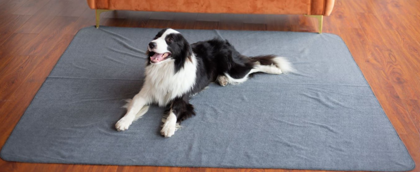 peepeego Upgrade NonSlip Dog Pads Extra Large 72" x 72", Washable