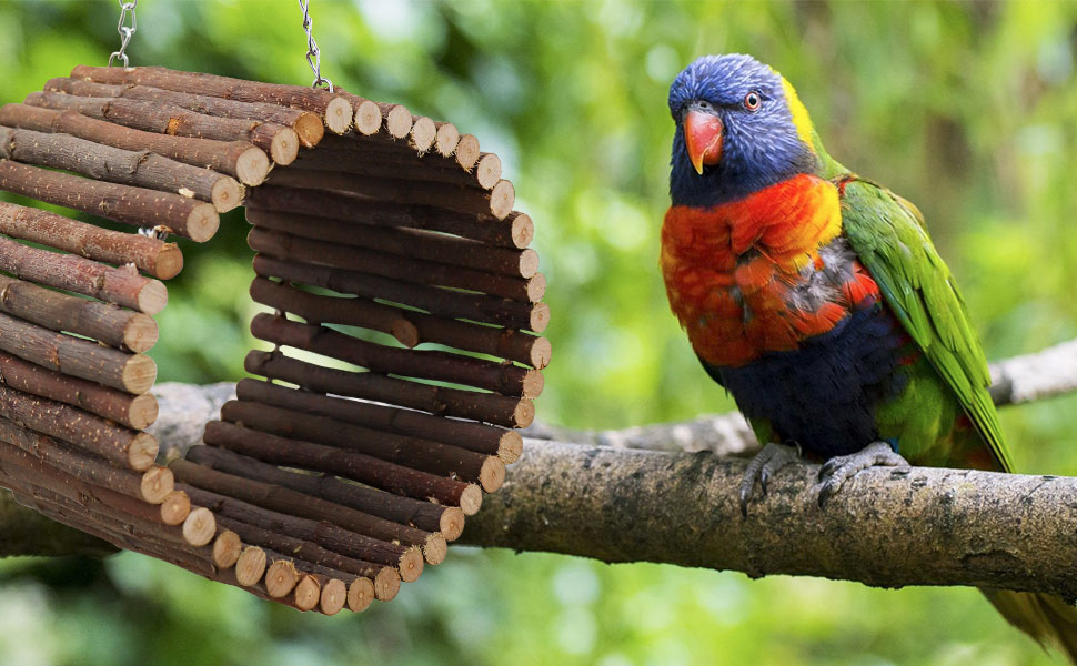 Bird Parrot Swing Toys