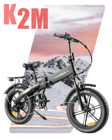 e bike