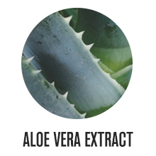 Aloe Vera Extract