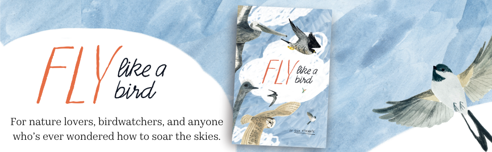 Fly Like a Bird (Spectacular STEAM for Curious Readers (SSCR