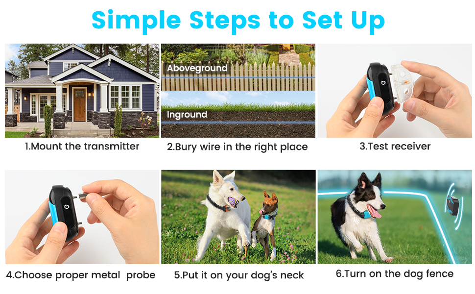 Electric Dog Fence