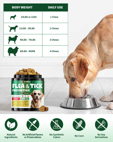 Flea and Tick Prevention for Dogs