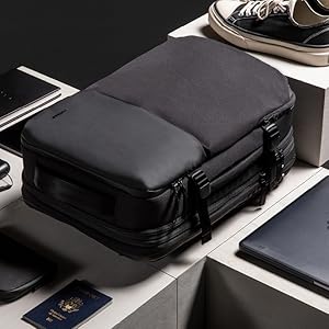 Adaptive Organization