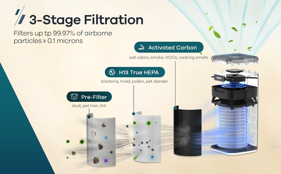 WELOV P200S/P200 Pro Toxin Absorber Filter, 3in1 H13 True