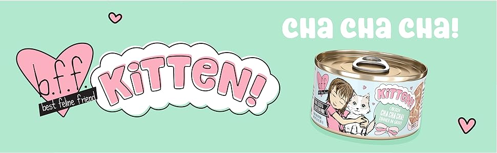 BFF Kitten wet food, Cha Cha Cha, chicken in gravy