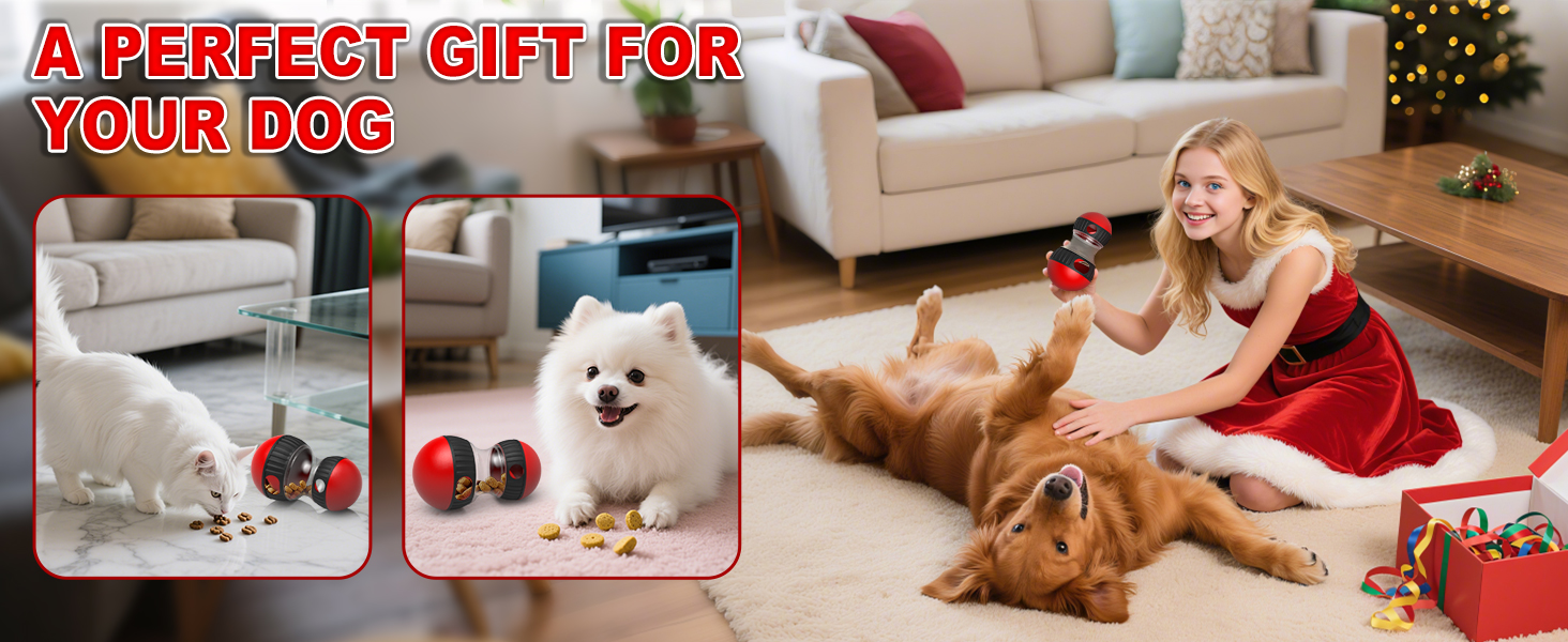 Treat Dispensing Ball Food Dispenser