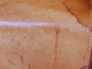 water stained aniline leather chair