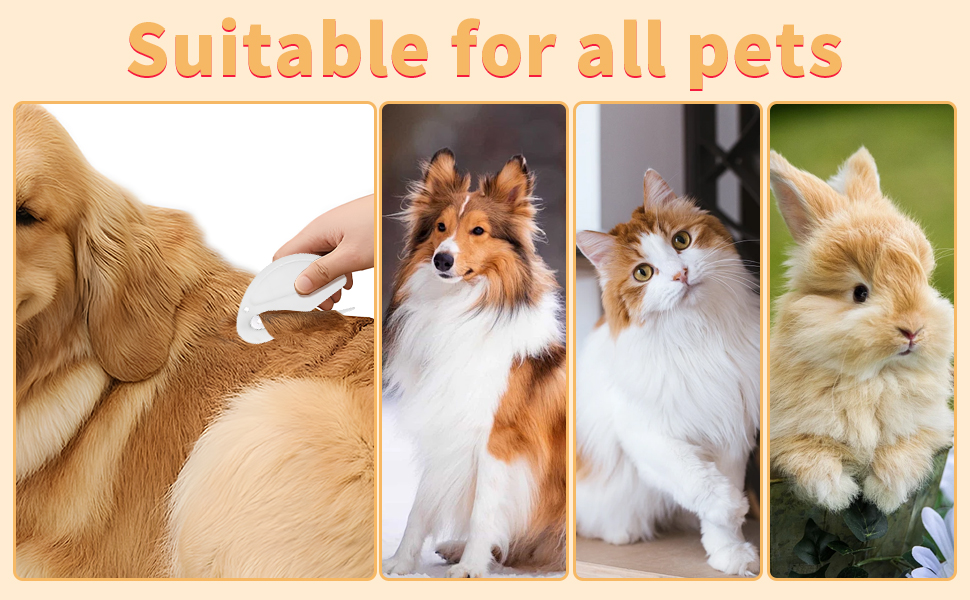 Suitable for all pets