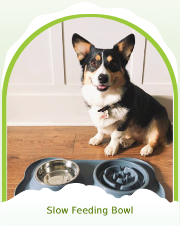 slow feeding bowl