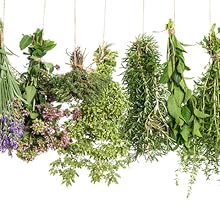 emu oil natural bar soap skin lichen sclerosis 