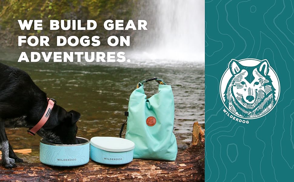 we build gear for dogs on adventures