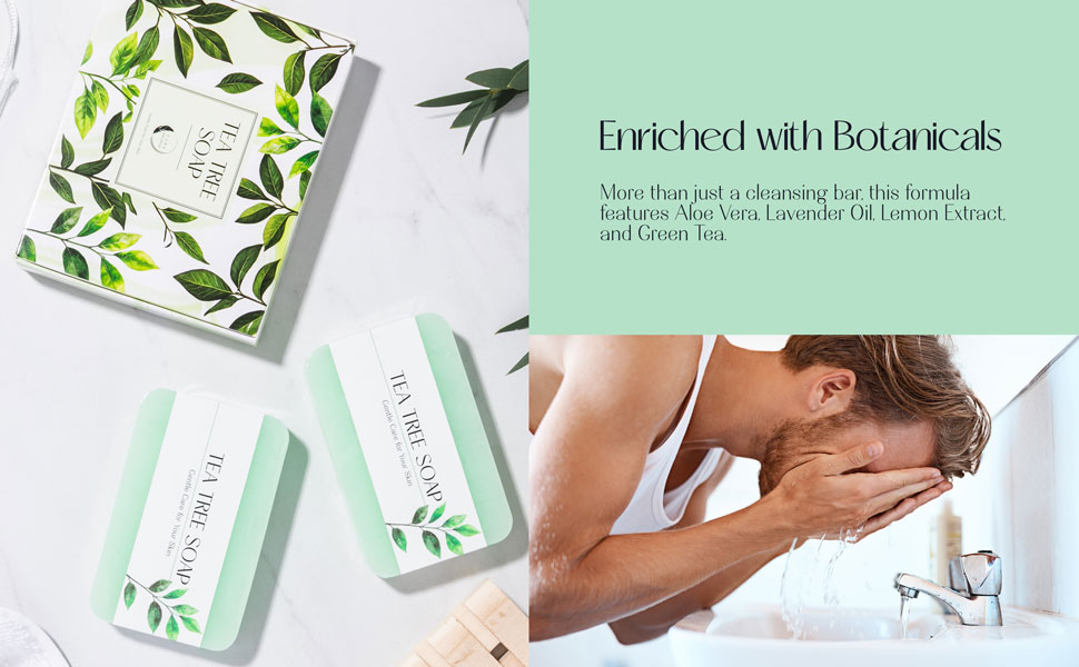 Aura Naturals Tea Tree Soap Bar - Set of 2, Natural Soap Bar for Face & Body Wash, Tea Tree Oil Soap with Anti Fungal Properties for Body Itching Acne Athlete's Foot Folliculitis 12 anti fungal soap, anti fungal soap bar, natural soap bar organic, natural soap for men
