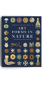 Ernst Haeckel&#39;s Art Forms in Nature: A Visual Masterpiece of the Natural World