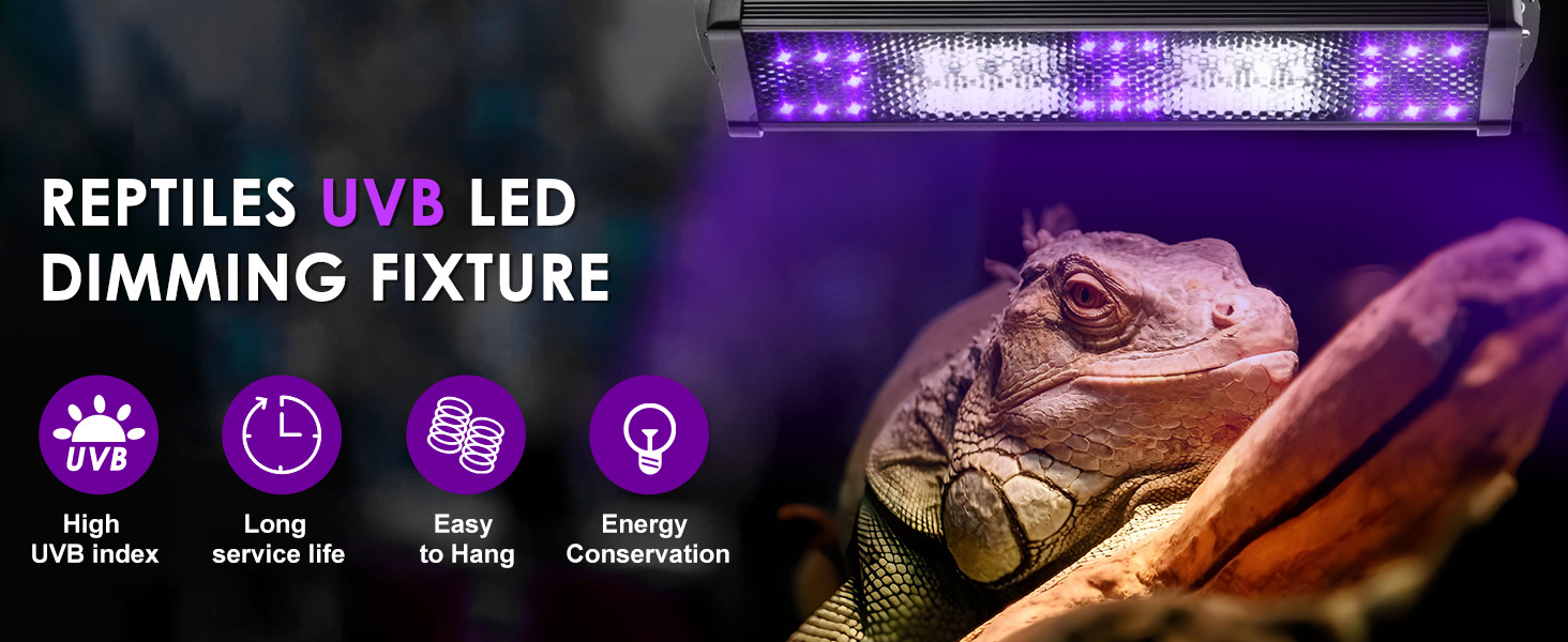 uvb light for reptiles