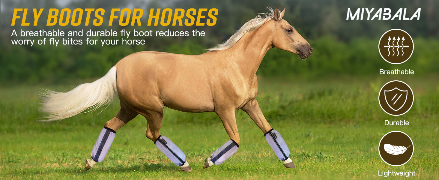 fly boots for horse