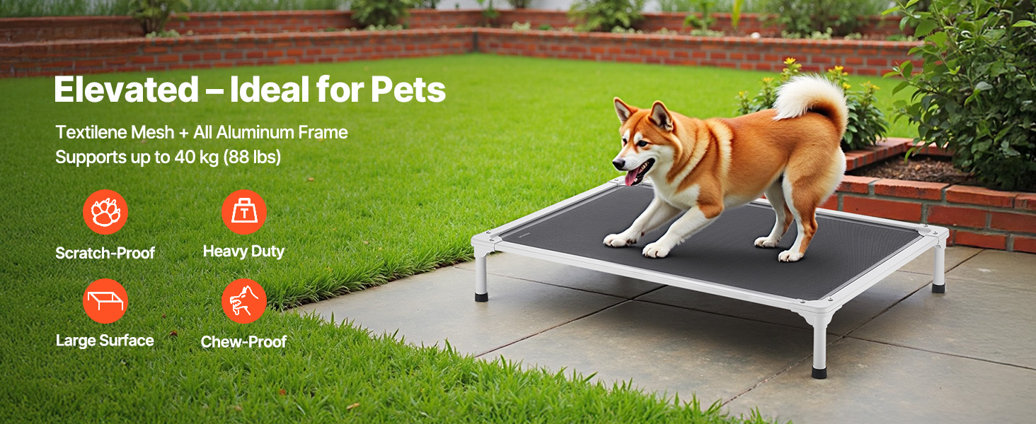 elevated dog bed