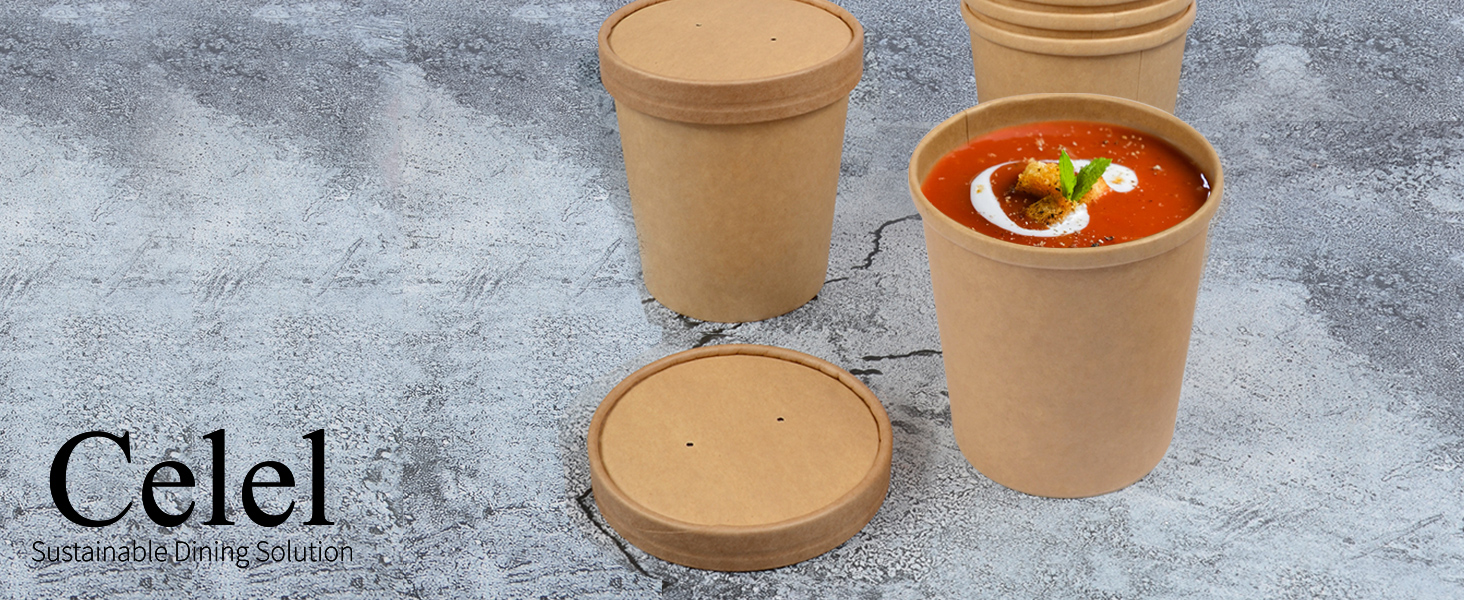 16 oz soup containers with lids paper soup containers with lids ice cream pint containers