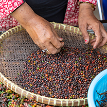 Small manufacture image 3