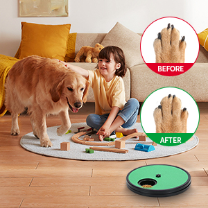 dog nail scratch board small dog