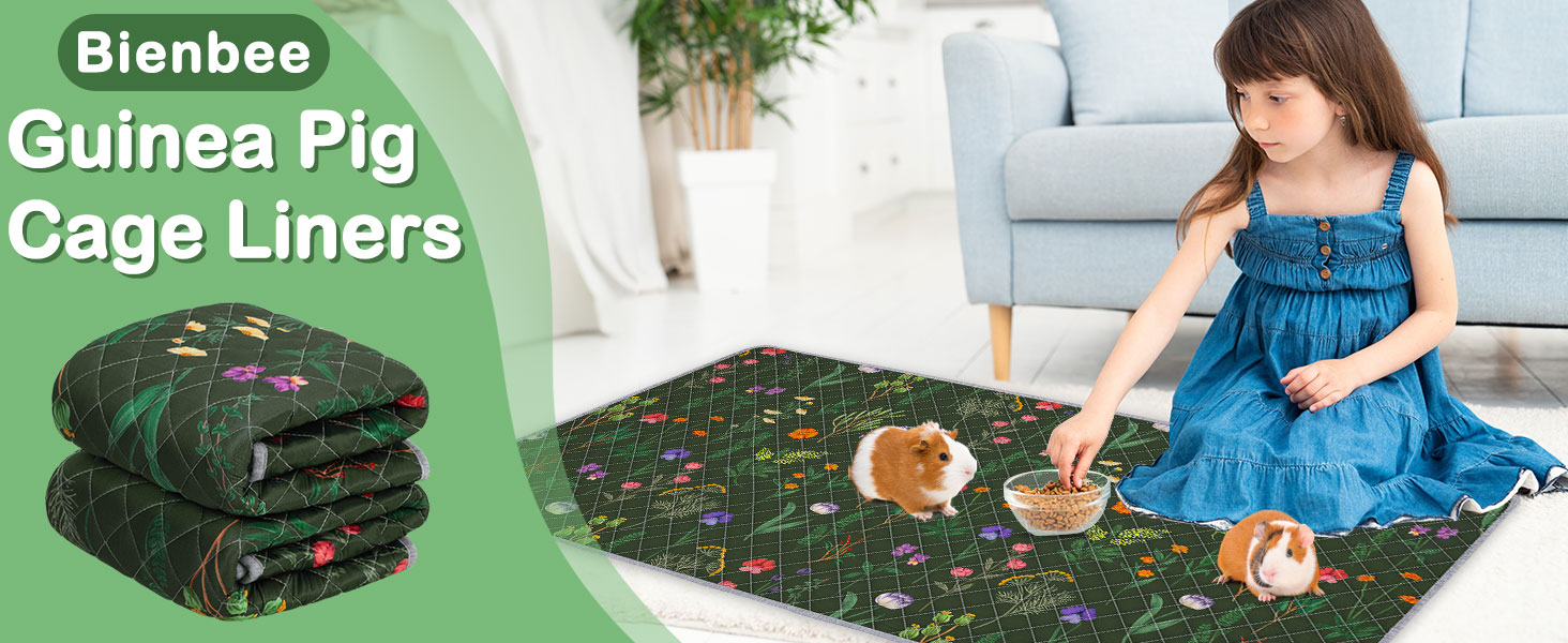 guinea pig pads