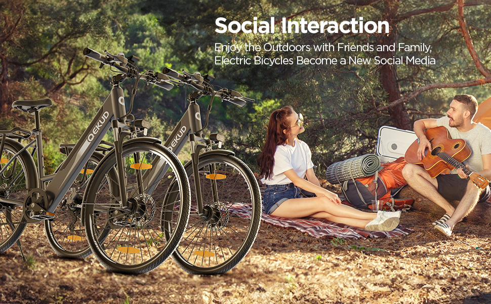 electric bicycles