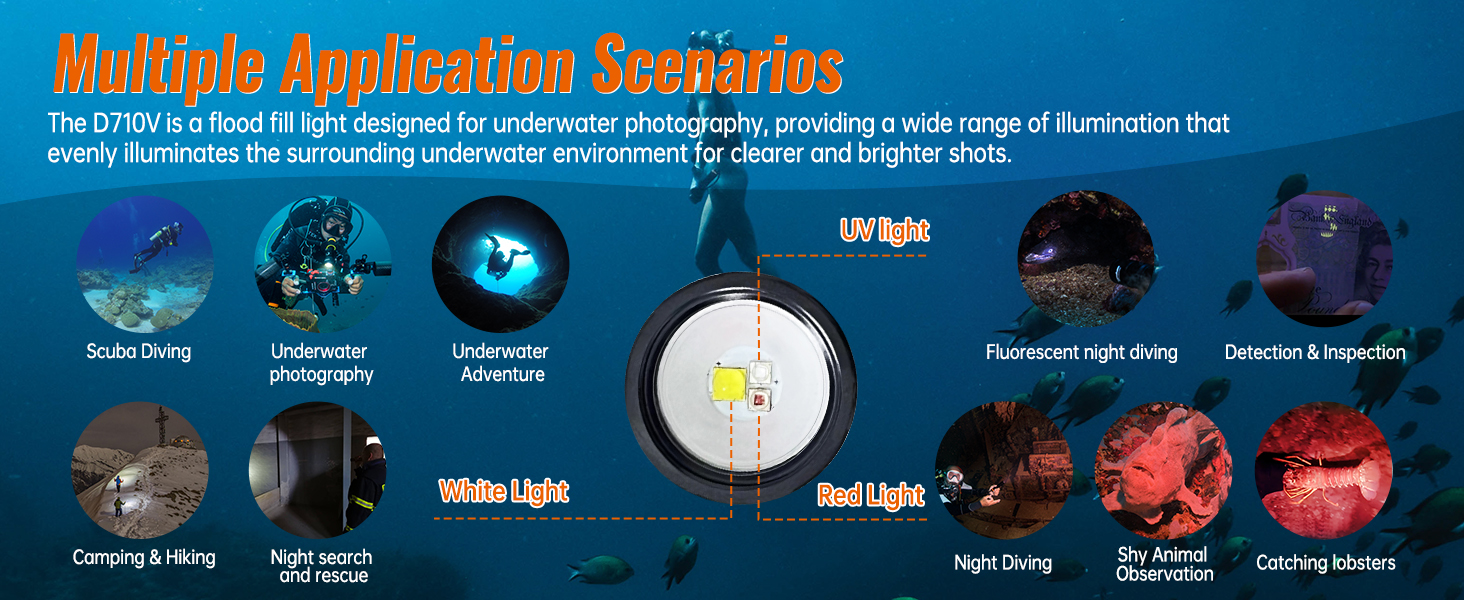 OrcaTorch D710V Professional Underwater Video Light