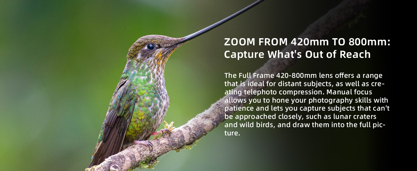 Text reads: 'ZOOM FROM 420mm TO 800mm: Capture What's Out of Reach'. Marketing image showing hummingbird perched on branch with camera zoom capabilities text.