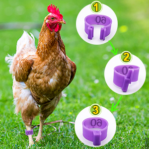 Small manufacture image 5